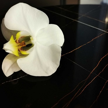 Why marble in interior design?