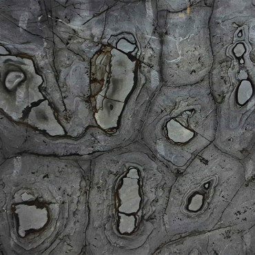 ماري الأزرق