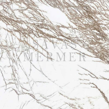 راديكس <br>(RADIX)