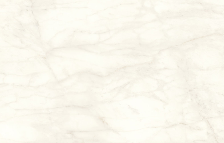 Calacatta Delicato Porcelain